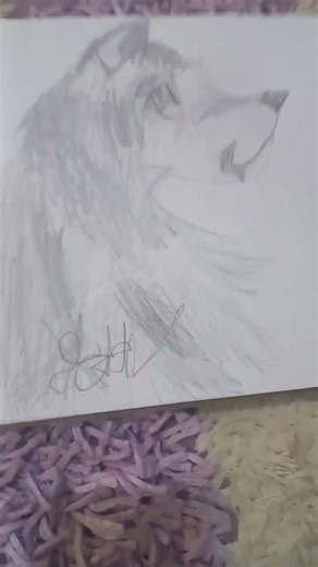 a realistic wolf (I'll never make a tutorial)