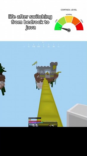 Playing Both Minecraft Versions: Bedrock and Java