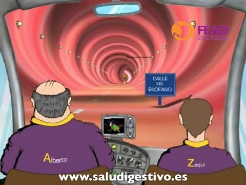 Viaje virtual por el Sistema Digestivo - La primera digestión de Zaqui
