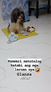 143K views · 6K reactions | Yong matutulog ka na katabi ang mga laruan mo #glanzadog #hiluxdog #dog #ilokano #viral #petlove #doglover #fblifestyle @highlight | Leonardo Cabading | Facebook