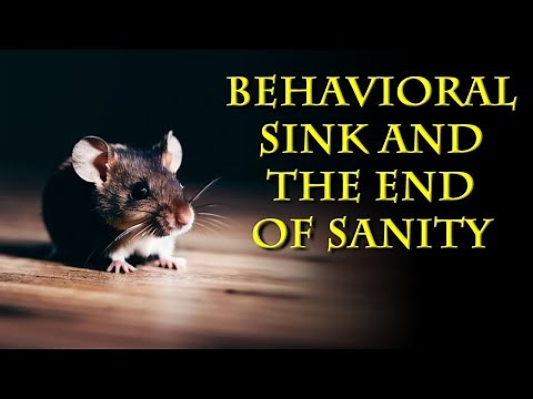 What does the Mouse Utopia, behavioral sinks and humanity have in common?
