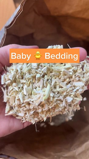 Hemp=Best bedding! Here’s why… 1. Dust free, chemical free and no pine so it’s easy on the respiratory system! 2. Absorbant, eliminates odor, & stays fresh longer so a little goes a long way! Don’t have to buy as much as you might think! 3. Sustainably sourced (no 🌲 being cut down!!), and great in the compost for your garden! 💕My favorite is @eatonpetandpasture … there’s just something special about the way they cut it! Pretty sure i would sleep in it lol!! Use 🐔purelychickens🐔 for 20% off i