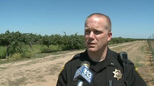 Two skydivers killed during tandem jump