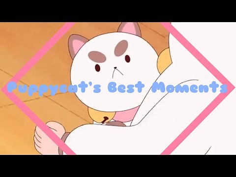 Puppycat’s Best Moments