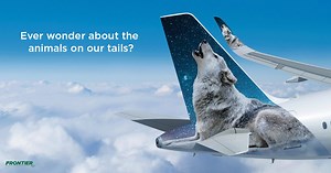 4K views · 130 reactions | Our plane tails are truly unique, each...