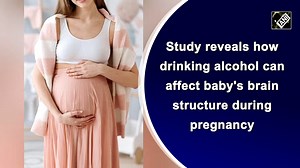 Study reveals how drinking alcohol can affect baby's brain structure during pregnancy | The Times of India | Facebook