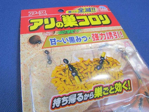 アリの巣コロリの効果的な使い方-置き場所は室内?屋外?アリ退治効果