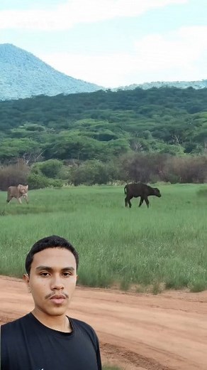 Leão VS Boizao | Lg Player