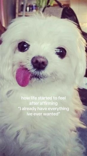 Is this the cheat code #affirmations #persist #lawofassumption | affirmations