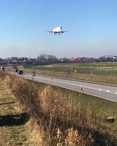 83K views · 532 reactions | We love our planes looking like they deny...