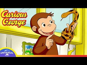 George Makes a Snake Friend | CURIOUS GEORGE