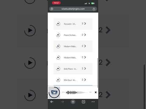 Magic Melow Wisebuddah 2016