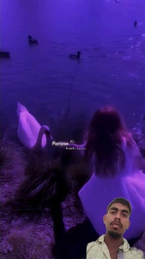 Phoolon Ki Malika Hai|| 🫀👀🌸lAestheticLyrics || Love Status #shorts #aestheticlyrics#music#love