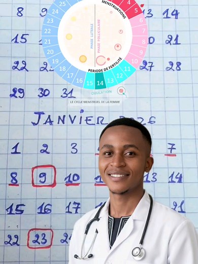 Calcul du Cycle Menstruel et Période d'Ovulation