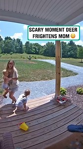 580K views · 2.4K reactions | The deer are coming!  | Furry Tails | Facebook