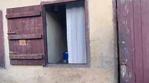 1.9K views · 95 reactions | #le code du Wi-Fi abonnez-vous abonnez-vous massivement | Dan Maloba | Facebook