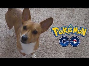 POKEMON GO GAMEPLAY VLOG WALKTHROUGH PART 1 - DRIVE-BY