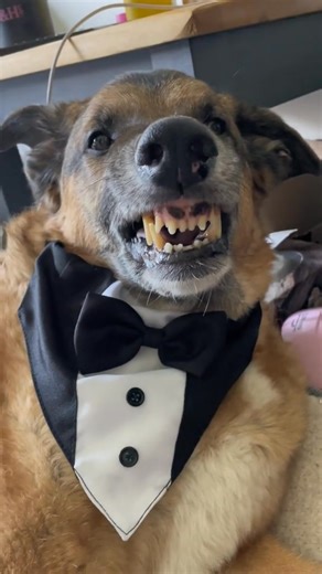 PROM ALL DAY, EVERY DAY 💃✨ | Django Smiles & Friends