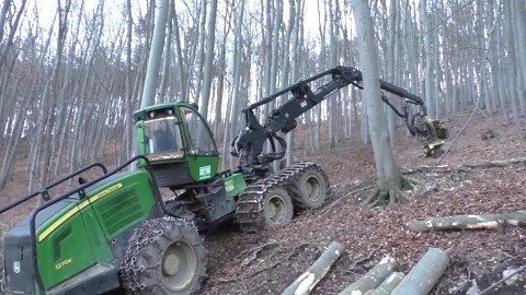 Powerful Moves of John Deere 1270E in Hardwood Action