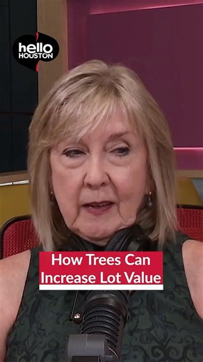 This Is Why That Tree Matters More Than You Think In Real Estate