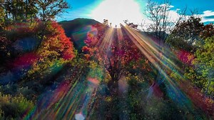 Experiencing Utah's fall colors: Here's when to leaf peek in the Beehive State