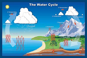 What is the water cycle and can the cycle be disrupted?