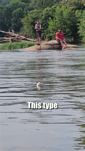 Beginner To Catfish Fishing & Struggling To Catch BIG Catfish? Switch To FATKAT Best Catfish Rig!