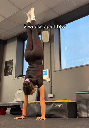 Calisthenics Progression and Gymshark Discount Code