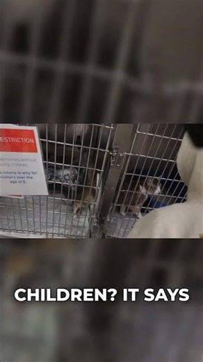 Adoption Heartbreak: No Young Children Allowed? 💔