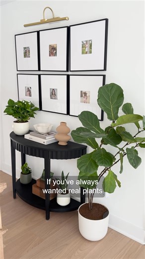 Transform your space with easyplant's self-watering plants, that you only need to fill ONCE a month! 🪴 Green thumb not required 👍🏼 | easyplant