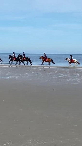Apicheee✌🏻💕🐾 //1 na laatste pony!!🌼🫶🏻, MOPJE van me💘 Vandaag een 2uursrit gemaakt op APICHEEEE 💖💖💖 Donderdag weerxx ✌🏻💕 ___________________________ ✌🏻✌🏻✌🏻✌🏻✌🏻✌🏻✌🏻✌🏻✌🏻✌🏻✌🏻✌🏻 - #viral #fyp #fy #virlavideo #likeandersbenjegay #welkijkenmaarnietliken #foryoupage #fy #api #apiche #appppp