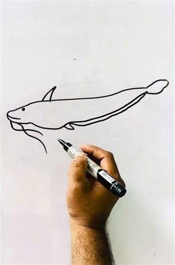 walKing catfish drawing ￼#easycatfish #￼ Magormass￼art #how #drawing #art #massart #beautiful