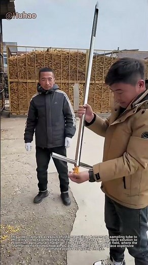 "Farmer's Ingenious Corn Sampling Method Saves Time & Money!
