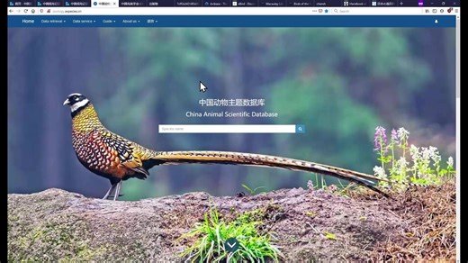 分享一些对观鸟有用的网站