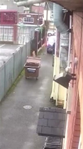 Shouldn't have wheelie bin there #fyp #construction #builders #fails #foryou