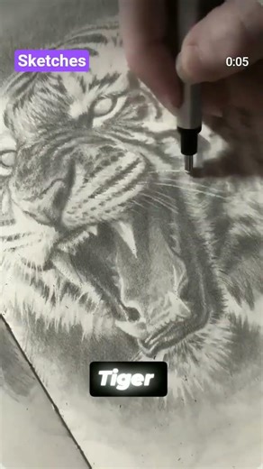 tiger drawing animal nature scene #tiger #animals #trending #nature #forest #jungle #viral #art