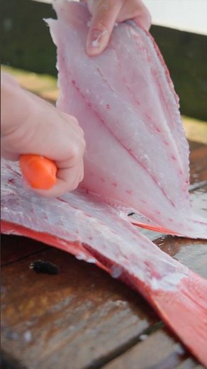 Big Red Snapper Fillet! Fish Cutting!