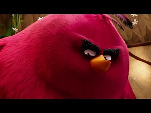 Angry birds but it´s just Terence