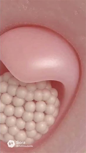 Odontogenesis: The Stages of Tooth Formation #shortvideo