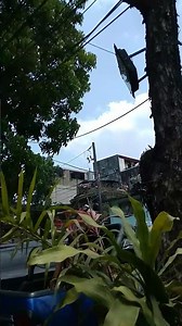 Sarap talagang maglakad dito presko ang hangin 😌