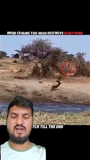 Why 99% of Hunters Fail? The Brutal Truth About Focus 🦁 #shorts #wildlife