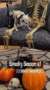 Amazon is hiring graduates near you. | Inside Amazon