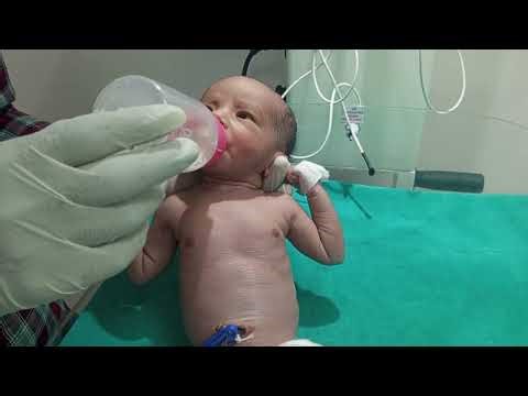 Newborn's Hungry Cry to Happy Fullness: Our Emotional First Bottle Feeding Journey (Full Tutorial)