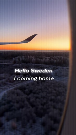 Returning Home to Sweden: An Emotional Journey