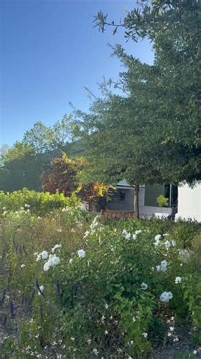 Luxury Wedding Reception Moments in Cape Town