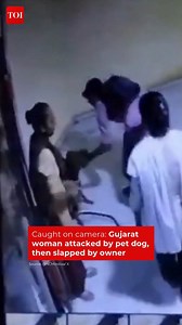 The Times of India on Instagram: "#Gujarat | A disturbing CCTV video from #Rajkot shows a woman being attacked by a pet dog — and shockingly, the dog owner slapping her instead of offering help. #gujarat #dog #dogattack #cctv #rajkot #viralvideo #InstaWithTOI"