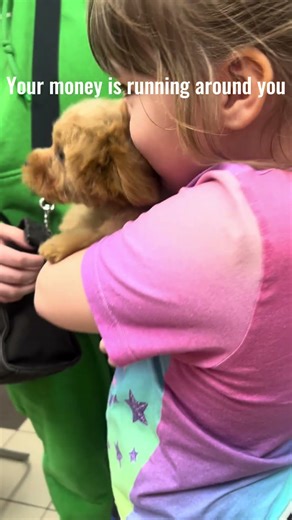 Grooming Magic: Transforming Pets | Pet Grooming Demonstration