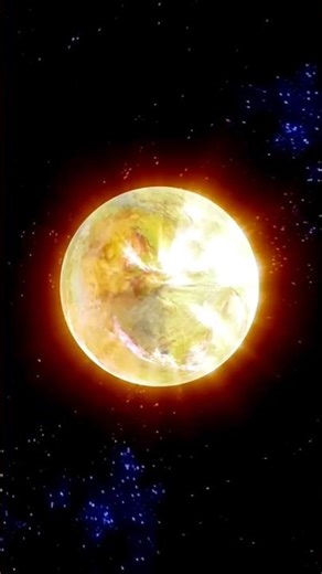 How the Sun Powers Life on Earth | The Energy Behind All Living Things