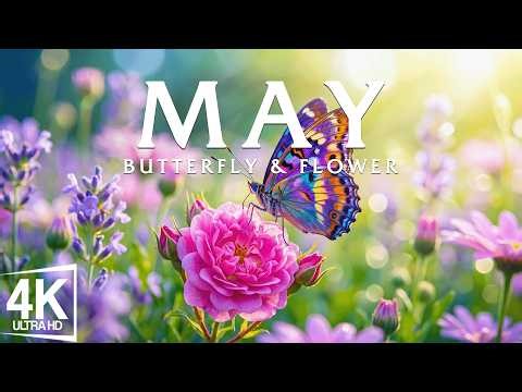 Spring Flower 4K – May 2026 🌸 Fields in Full Bloom, Warm Air and Colors Flowing Across Nature