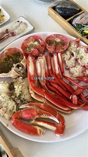 대게 먹으러 3시간 걸려서 강릉까지 간 이유..🚗#경포활게 #강릉맛집 #경포대맛집 #강릉대게 #대게맛집